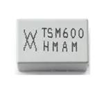 TSM600-250-2|TE Connectivity / Raychem