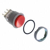 LB15WGW01-00-CJ|NKK Switches