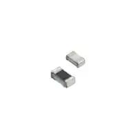 RG1608P-101-W-T1|Susumu