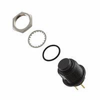 NP8S2R202GE|C & K COMPONENTS
