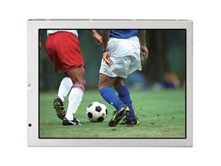 NL10276BC16-01|NEC DISPLAYS