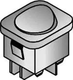 R13-104D-01-BB|Shin Chin